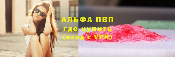 тгк Каменногорск