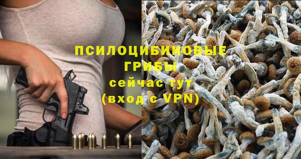гашик Каменск-Шахтинский