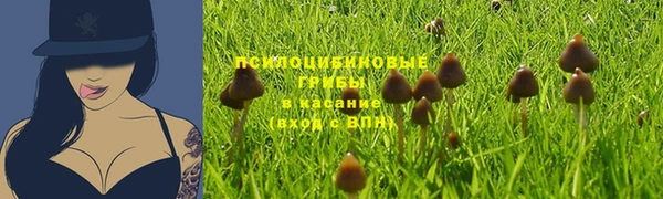 тгк Каменногорск