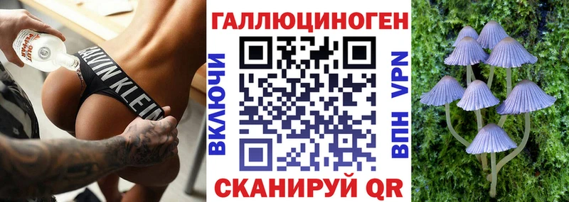 Галлюциногенные грибы Psilocybine cubensis  Купить закладки  Зима 